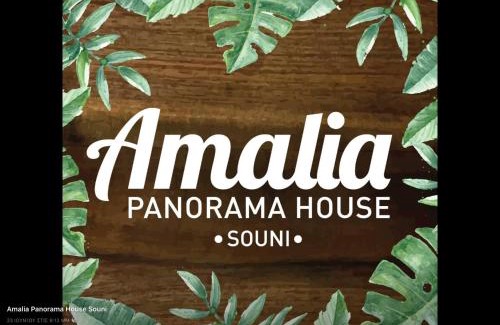 Souni-Zanakia House | Amalia Panorama House