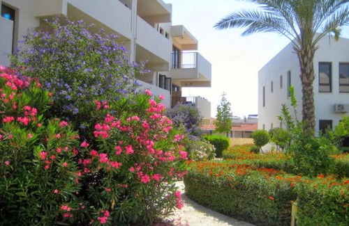 Mazotos Apartment | Apartment A01 Mazatos Hills 1st April street