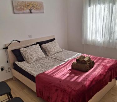 Chlorakas Apartment | Apartment with sea view!