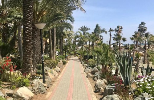 Agios Tychon Apartment | Apartments in Limassol, Cyprus
