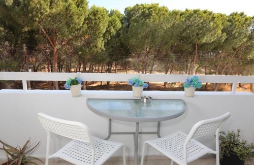 Larnaca Apartment | Cozy Holiday Apartment In Larnaca Near Foinikoudes