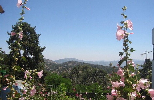 Peyia Town Villa | Detached Villa In Cul-de-Sac With Private Pool And Sea Views & Free WiFi.