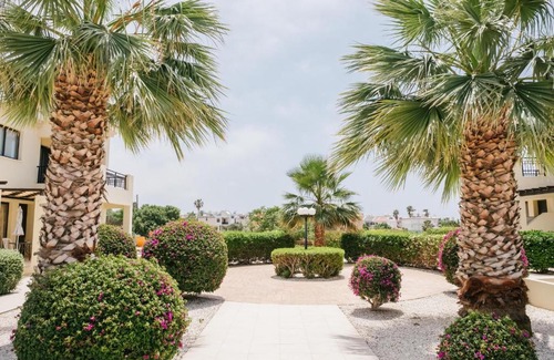 Paphos Apartment | Faros Village 1 Bedroom Flat near the seafront in Paphos