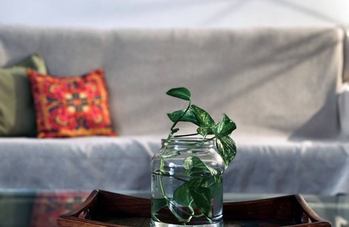 Limassol Hostel | Hostel ∙ 8 guests