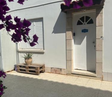 Meneou Villa | Leonidas Seaside
