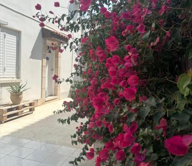 Meneou Villa | Leonidas Seaside