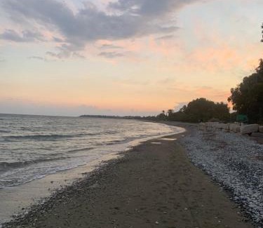 Meneou Villa | Leonidas Seaside