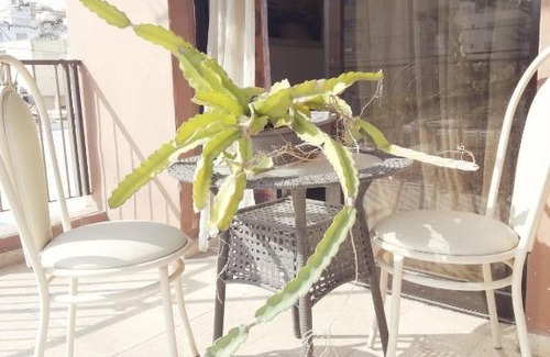 Neapolis House | Limassol Holiday Home
