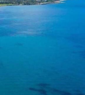 Latsi Apartment | Nikos Latchi Harbour