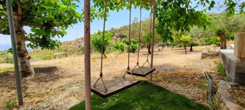 Silikou House | Olive Grove Cottage Guest house