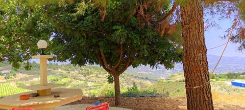 Silikou House | Olive Grove Cottage Guest house