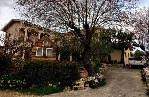 Anogyra House | Olive Tree House