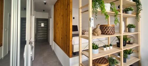 Paphos Apartment | Phaedrus Living Seaside Luxury Flat Athina 123