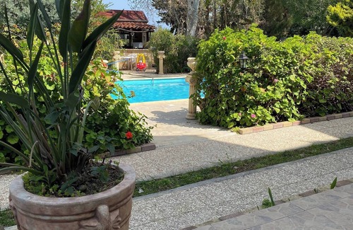 Argaka House | Room in Guest Room - Kritos Apartments-one Bedroom