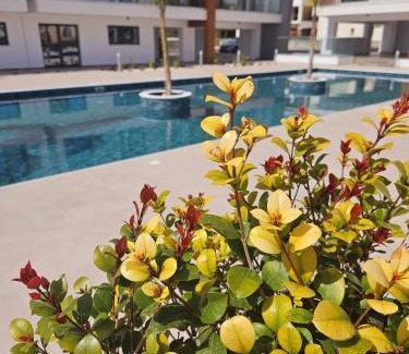 Universal Apartment | Superior Apartment, Universal Residences
