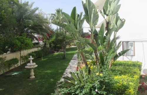 Pyla Apartment | Tsialis Hotel Apartments