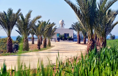 Argaka Villa | Villa 339