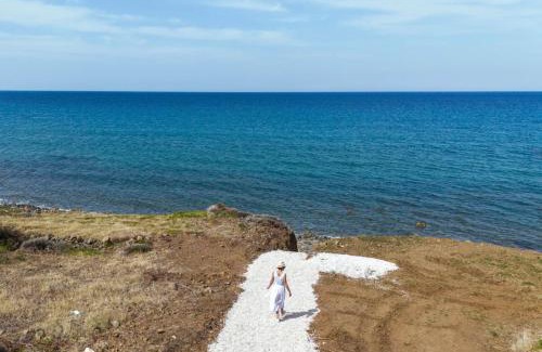 Pachyammos Villa | Villa Akroyiali - Seafront Serenity with Shared Pool