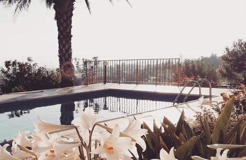 Pegeia Villa | Villa Briona
