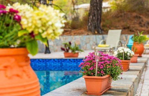 Platres Villa | VILLa PENELOPE PLATRES