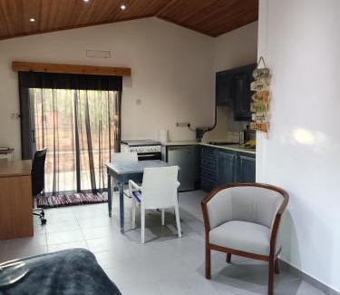 Chlorakas House | Wooden House