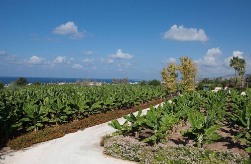 Kissonerga Villa | 185 m² Villa ∙ 4 bedrooms ∙ 10 guests