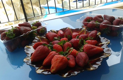 Oroklini Apartment | 2-bedroom apartment with swimming pool in Larnaca