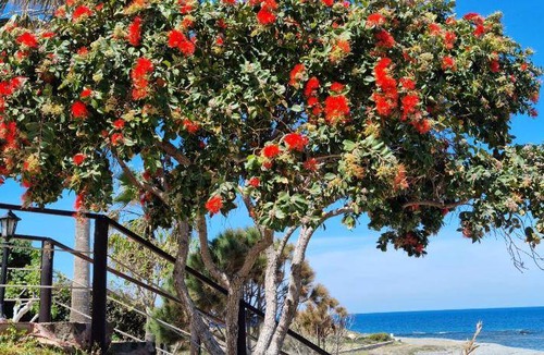 Pomos Villa | 210 m² Villa ∙ 3 bedrooms ∙ 9 guests