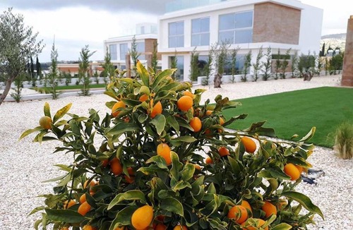 Peyia Town House | 240 m² House ∙ 4 bedrooms ∙ 8 guests