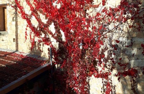 Vouni Bed & Breakfast | 25 m² Bed and breakfast ∙ 2 guests