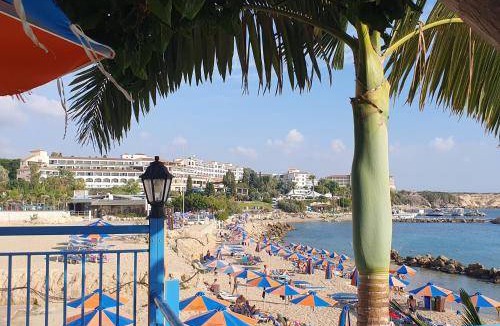 Pegeia Apartment | 30 m² Apartment ∙ 1 bedroom ∙ 2 guests