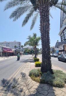 Potamos tis Germasogeias Apartment | 40 m² Apartment ∙ 1 bedroom ∙ 4 guests