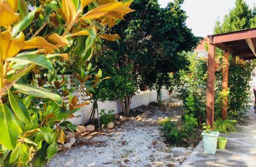Dromolaxia Apartment | 40 m² Apartment ∙ 1 bedroom ∙ 4 guests