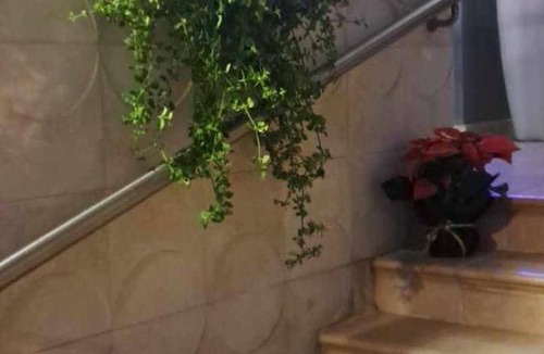 Aglantzia Apartment | 50 m² Apartment ∙ 2 guests