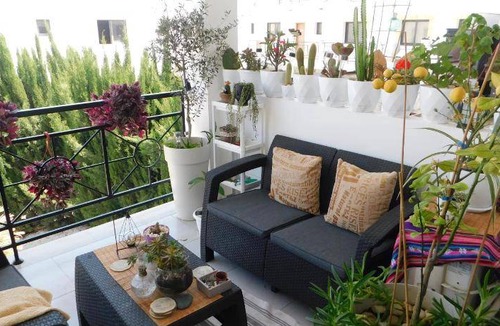 Tersefanou Apartment | 60 m² Apartment ∙ 1 bedroom ∙ 3 guests