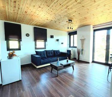 Agros Apartment | 60 m² Serviced apartment ∙ 3 guests
