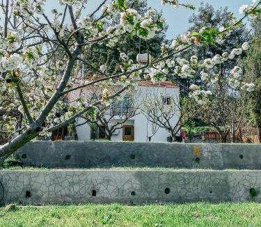 Kyperounta House | 70 m² House ∙ 2 bedrooms ∙ 6 guests