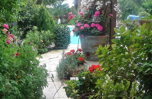 Pissouri Villa | A luxury villa in beautiful gardens with pool.