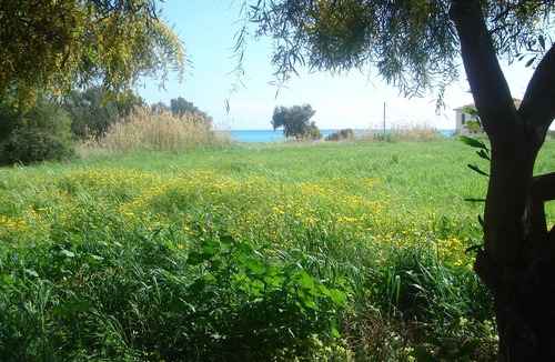 Pissouri Villa | A luxury villa in beautiful gardens with pool.