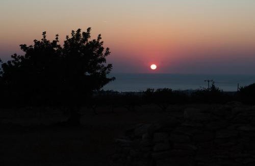 Pegeia Villa | Adonis Villa