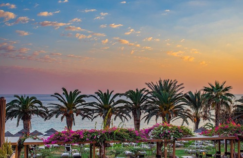 Ayia Napa Hotel | Alion Beach Hotel