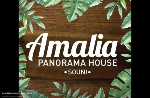 Souni-Zanakia House | Amalia Panorama House