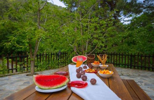 Platres Villa | Amazing Villa in Pano Platres Cyprus