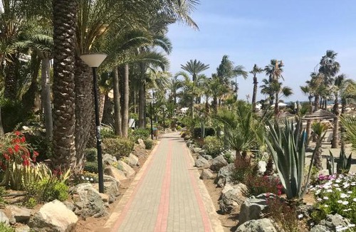 Agios Tychon Apartment | Apartments in Limassol, Cyprus