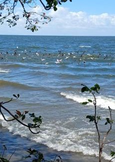 Ometepe Island House | Beach & forest Escape
