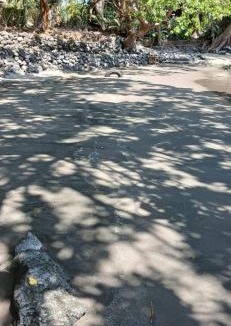 Ometepe Island House | Beach & forest Escape