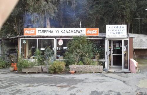 Arakapas House | Beautiful 3 Bedr House in Arakapas with fireplace