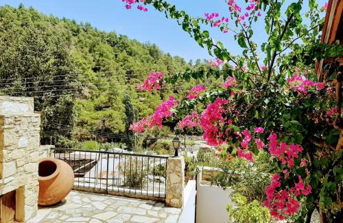 Apsiou House | Blue Cottage