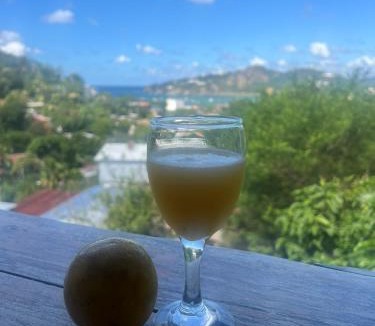 Las Pampas Hotel | Buena Onda Backpackers