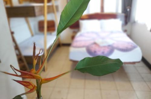 Managua Hotel | Casa Benjamin Linder